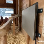 Flat radiant coop heater mounted near a roost above dry pine shavings.