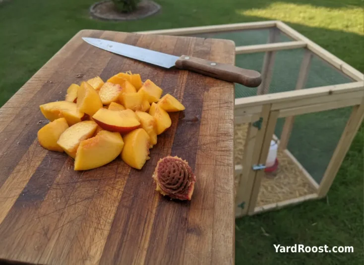 Chopped peach pieces are prepared safely with the pit removed near a backyard coop.