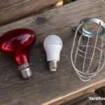 A red-tinted bulb and a standard LED sit beside a protective coop fixture guard.
